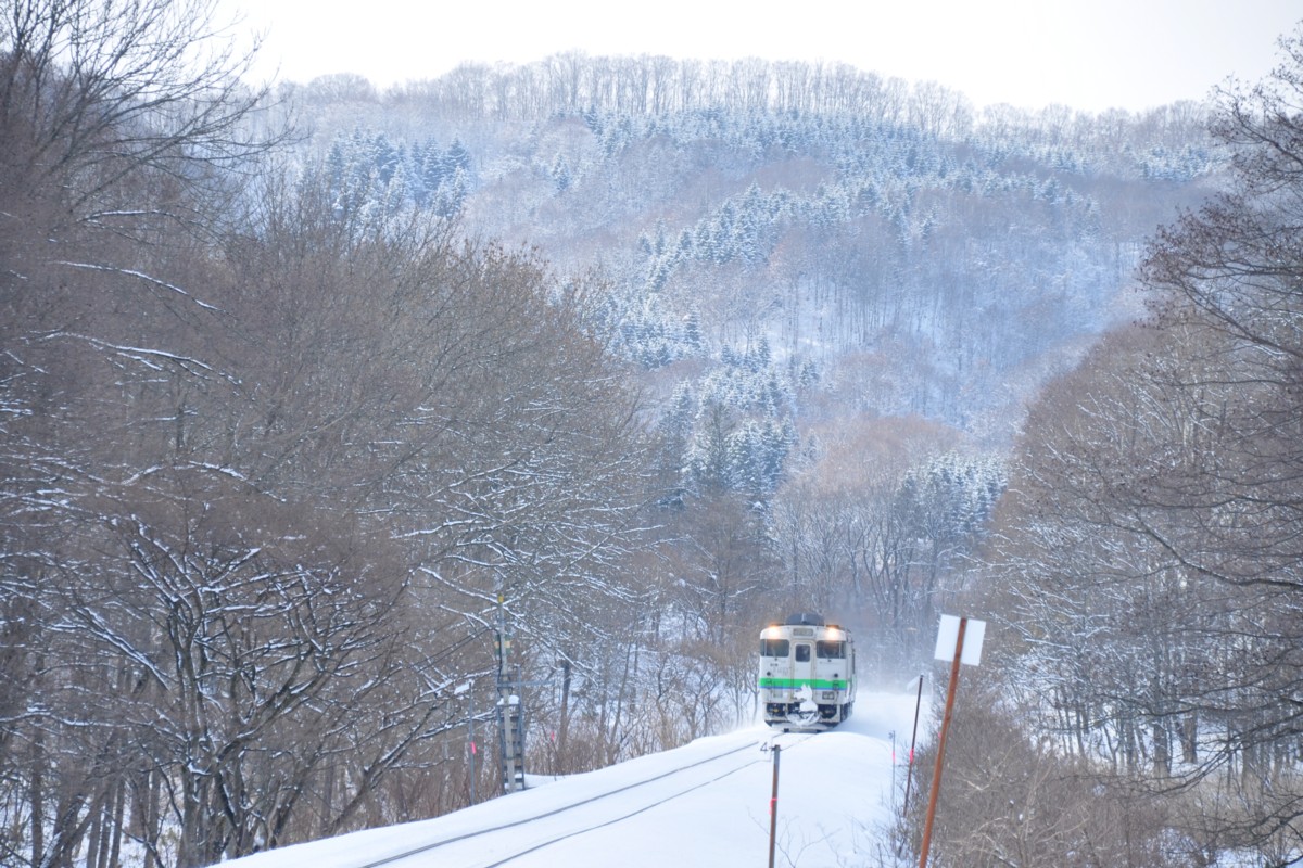 函館本線・撮影・黒松内－熱郛