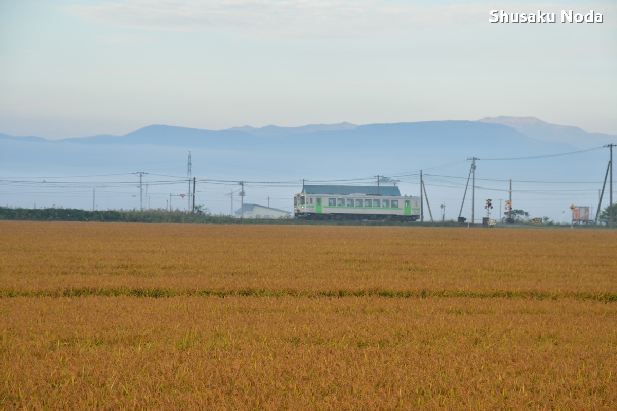 鉄道写真・稲穂・田園・撮影地：留萌本線・北一已－秩父別
