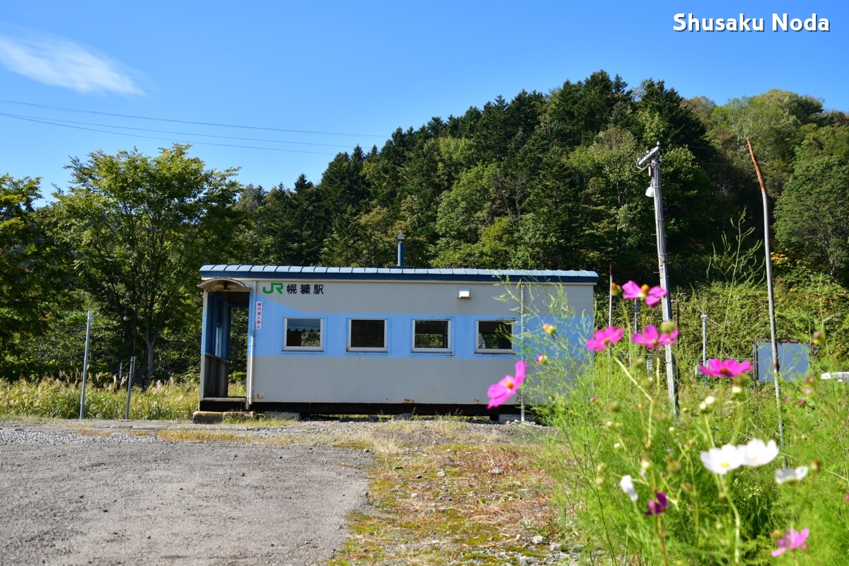 鉄道写真・コスモス・撮影地：留萌本線・幌糠