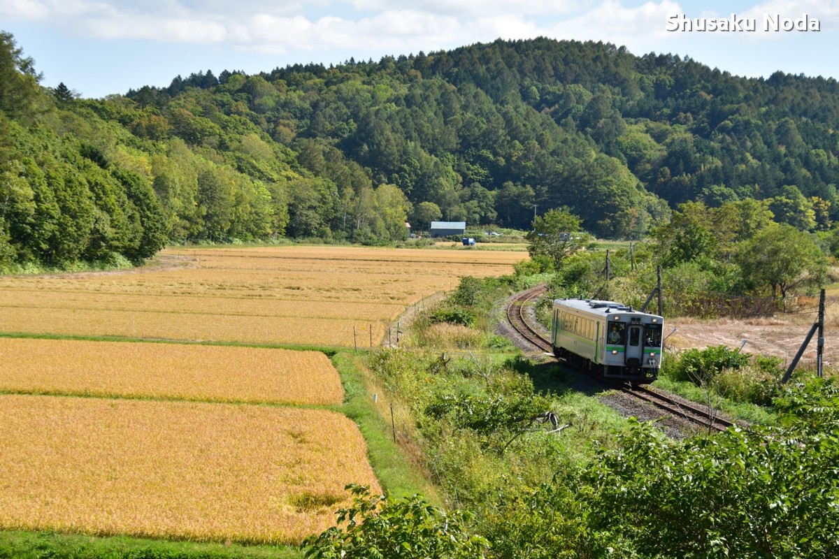 鉄道写真・稲穂・田園・撮影地：留萌本線・幌糠－藤山