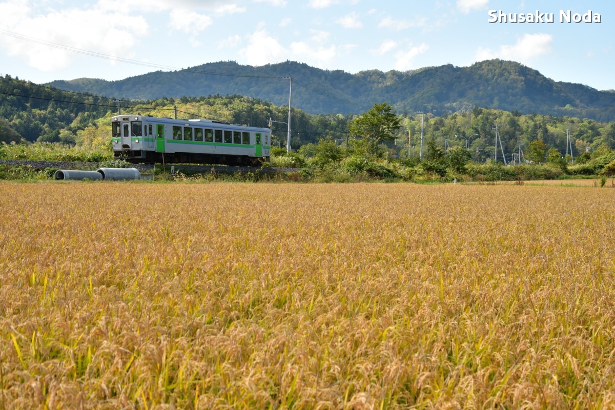 鉄道写真・稲穂・田園・撮影地：留萌本線・幌糠－藤山