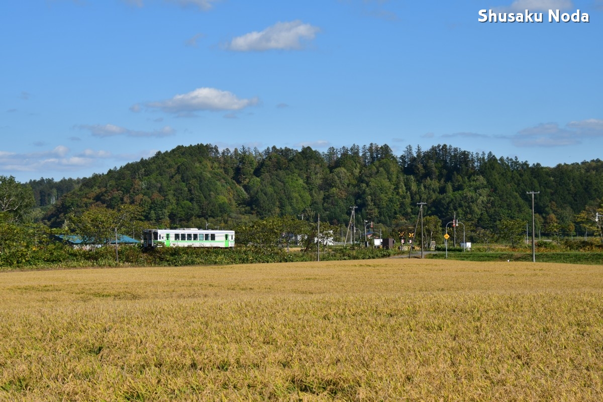 鉄道写真・稲穂・田園・撮影地：留萌本線・真布－恵比島