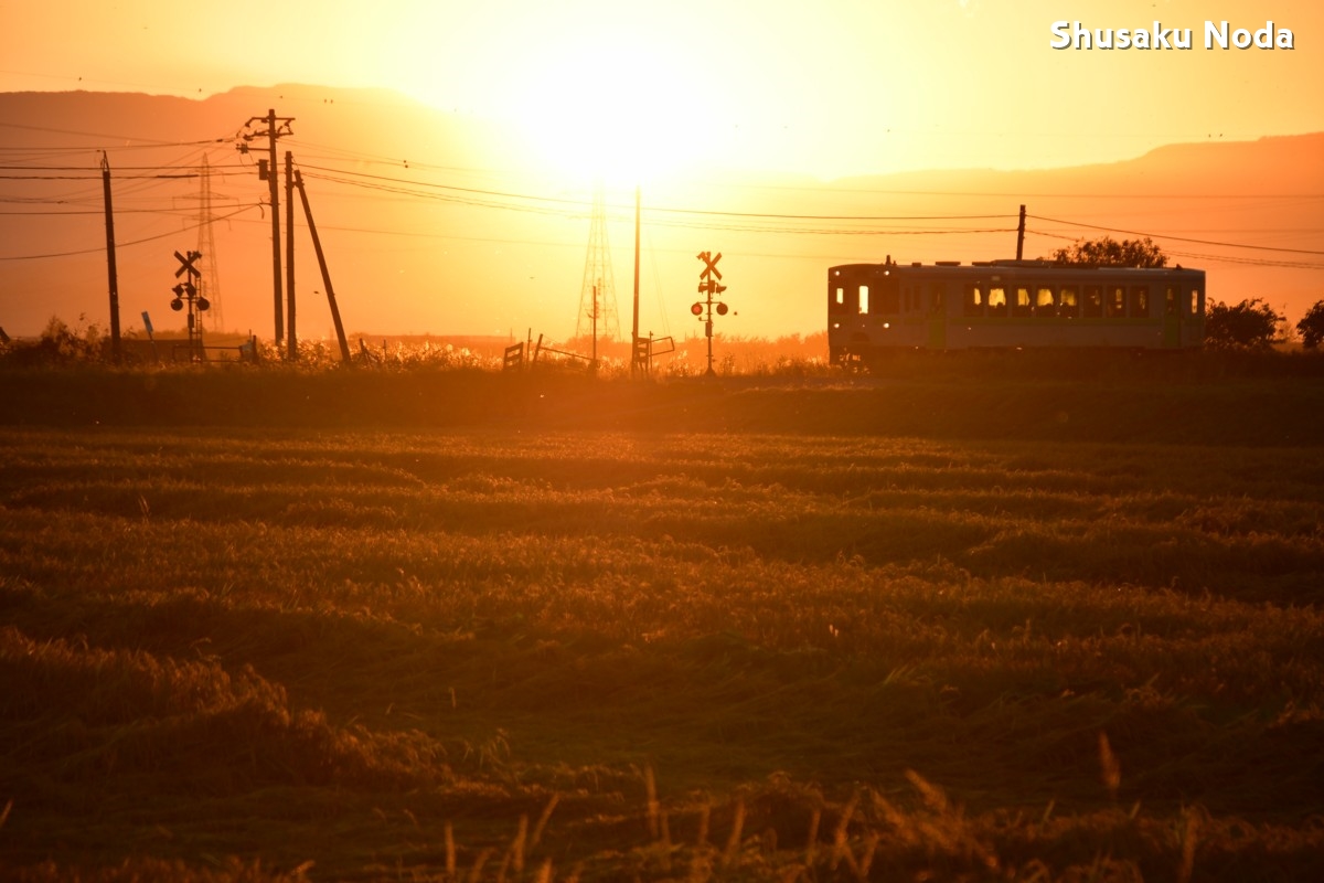 鉄道写真・秋・夕陽・撮影地：留萌本線・北一已－秩父別