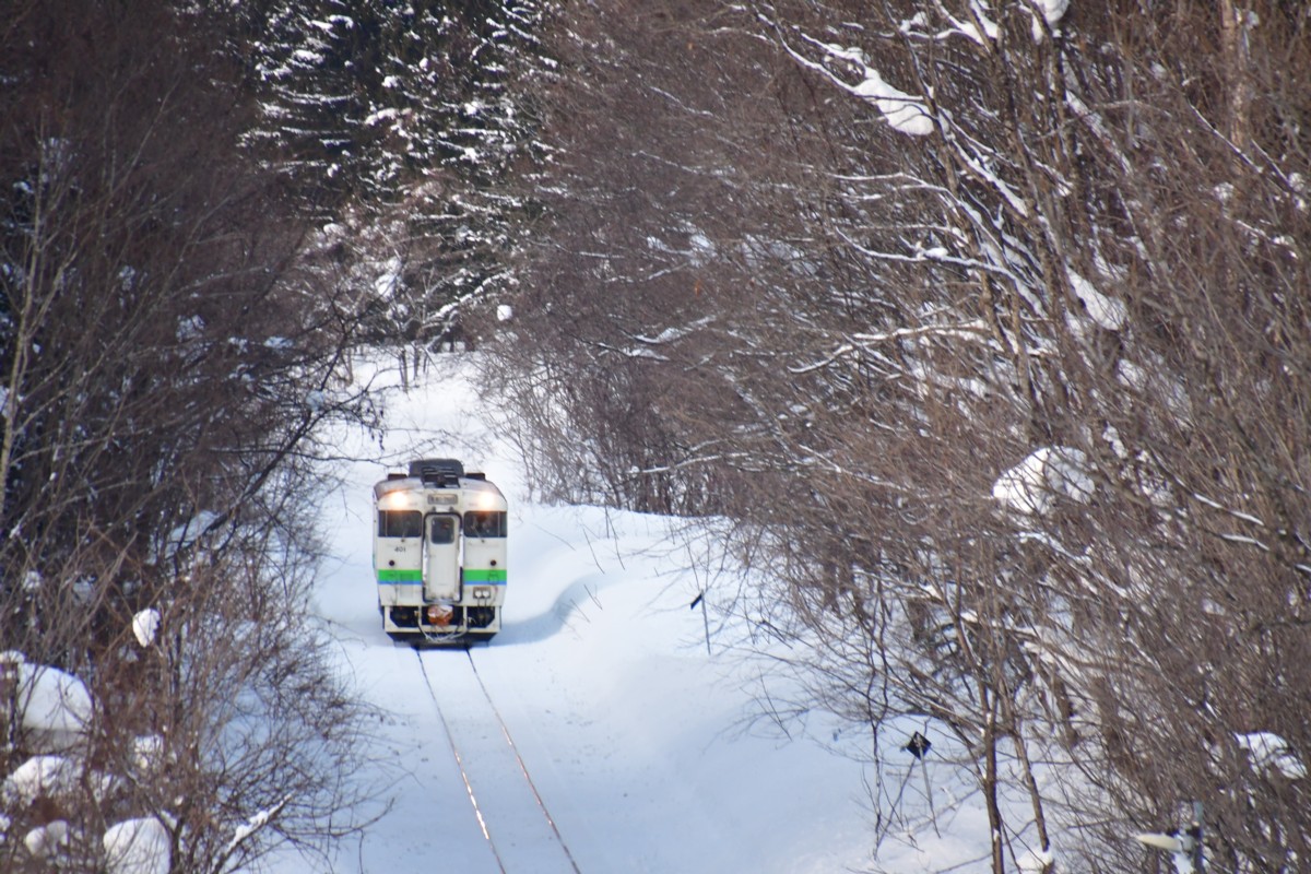 撮影・雪・札沼線・豊ヶ岡