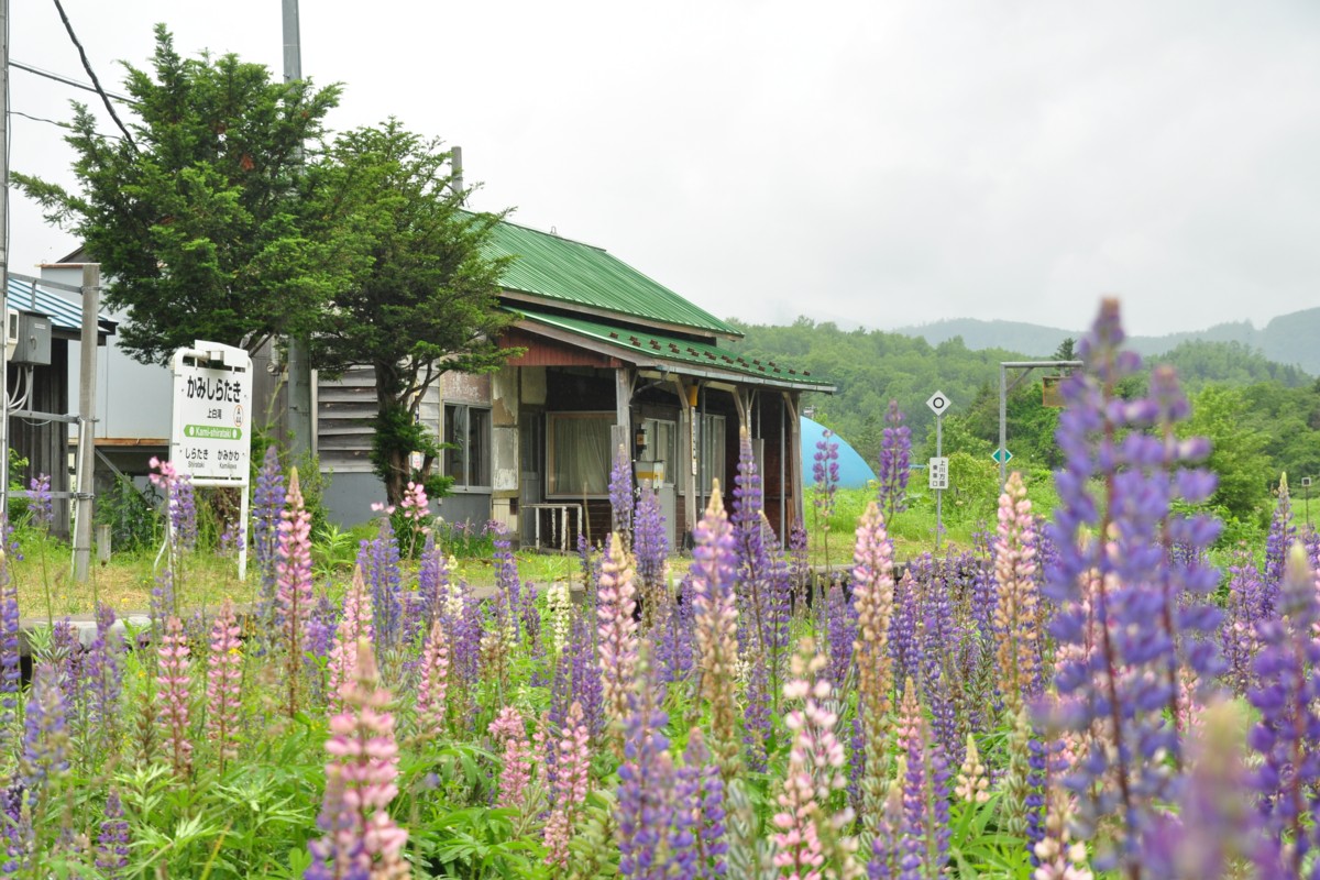 撮影・石北本線・上白滝