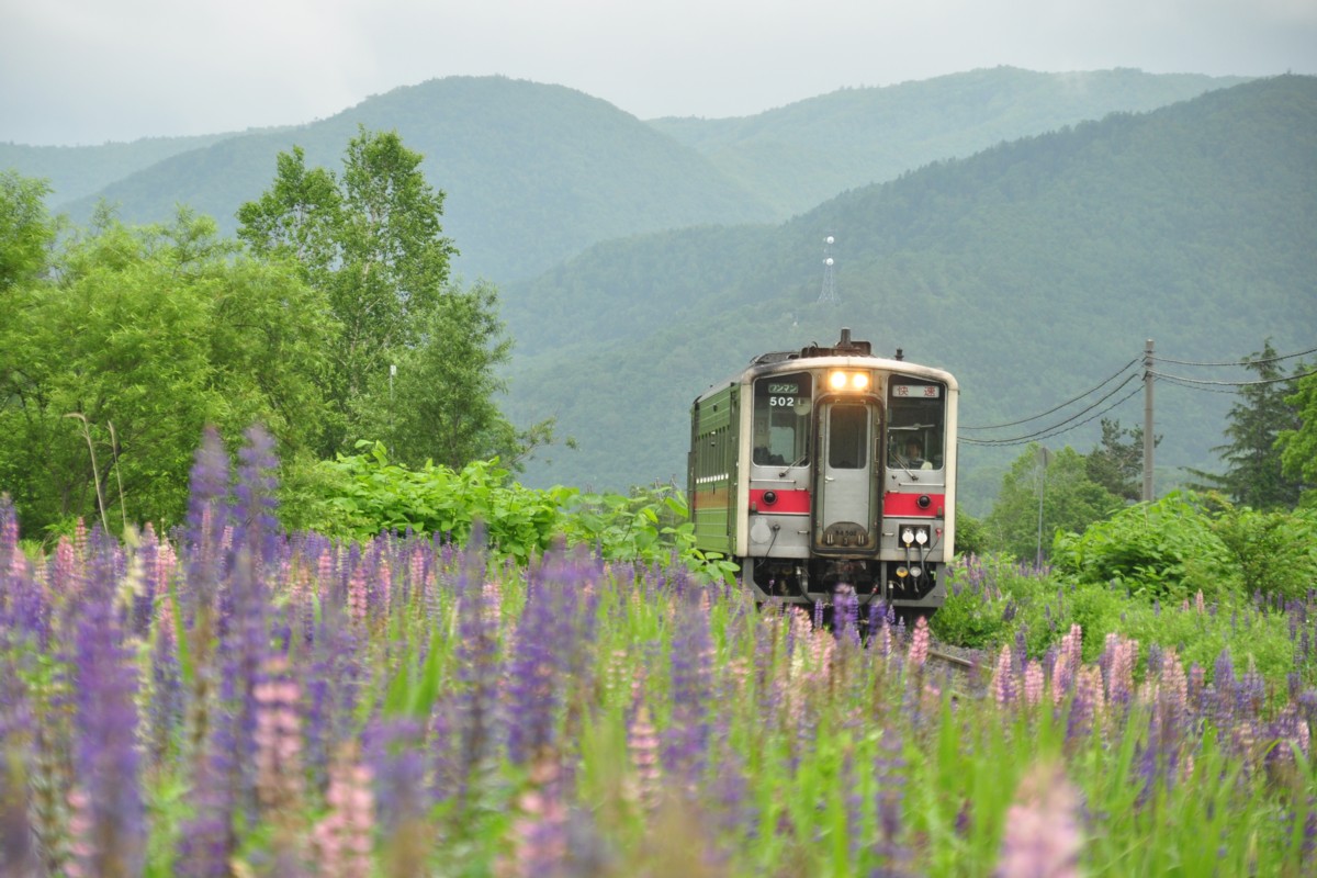 撮影・石北本線・上白滝