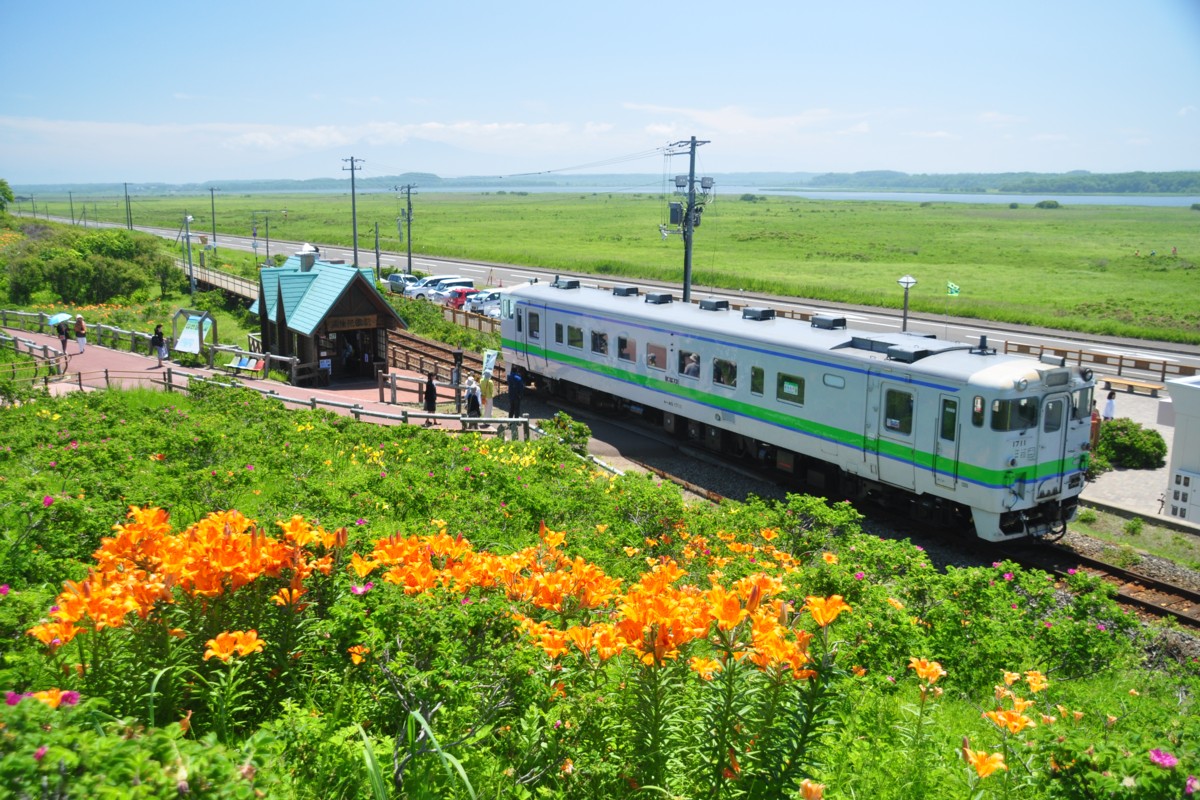 釧網本線夏模様 | 鉄道写真