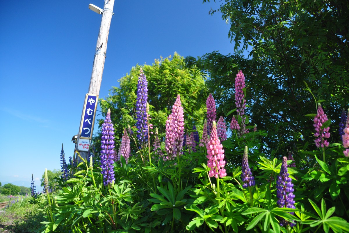 釧網本線・撮影・止別