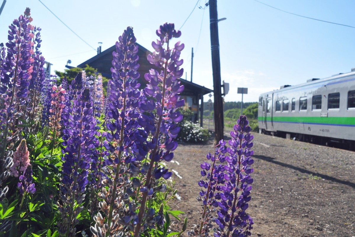釧網本線・撮影・止別