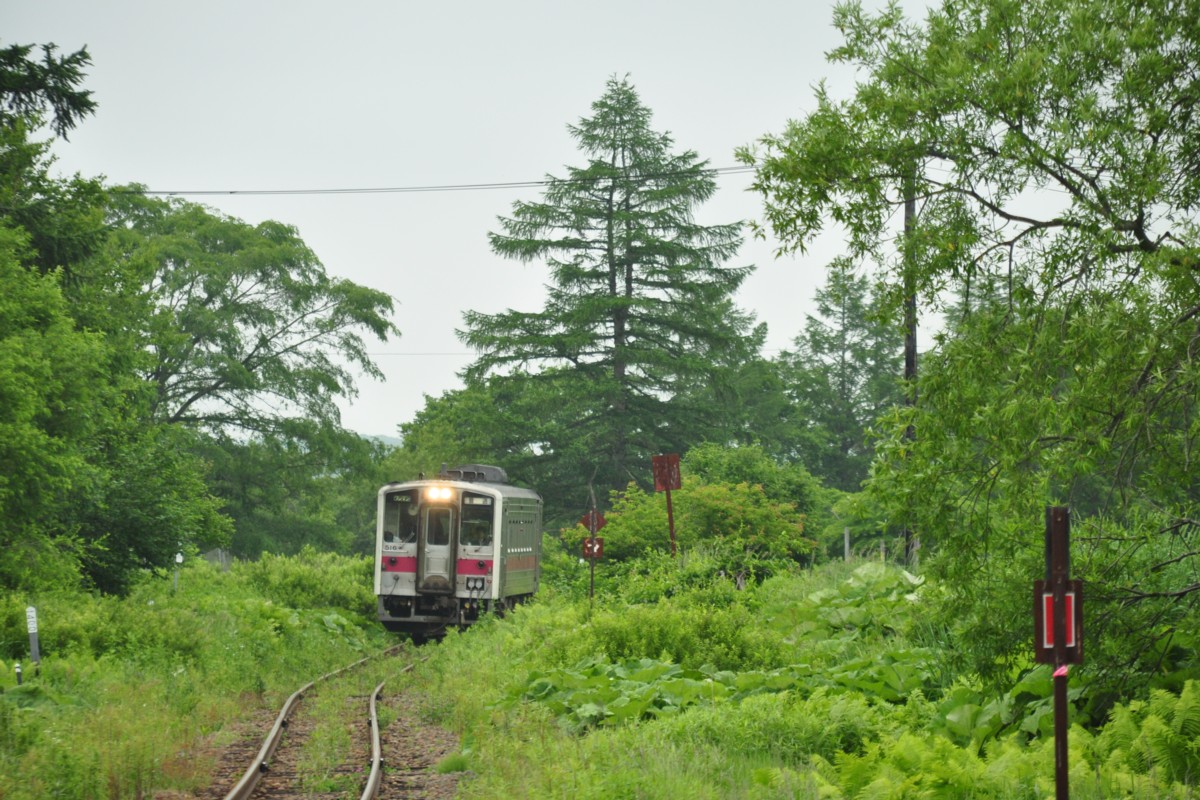 釧網本線・撮影・茅沼