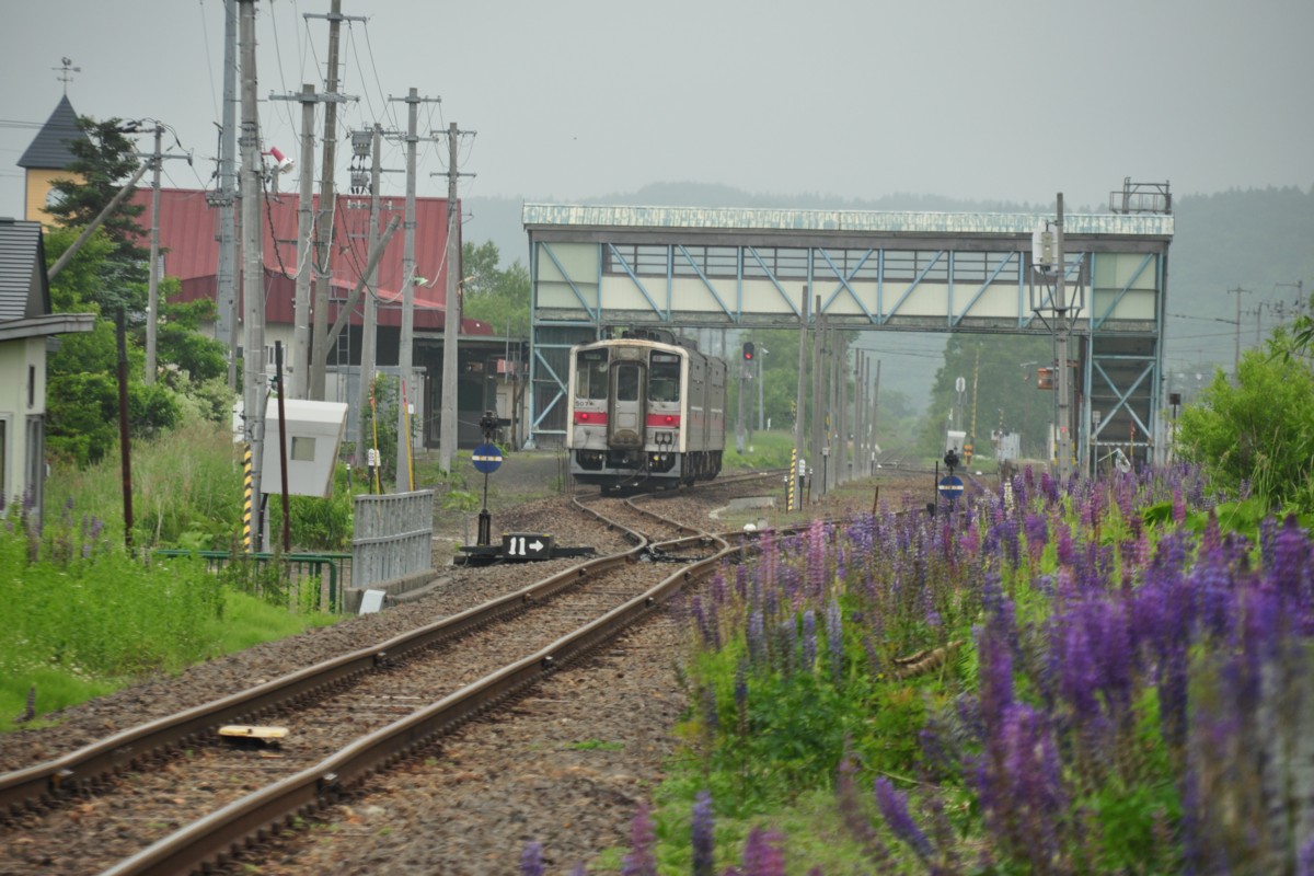 釧網本線・撮影・標茶