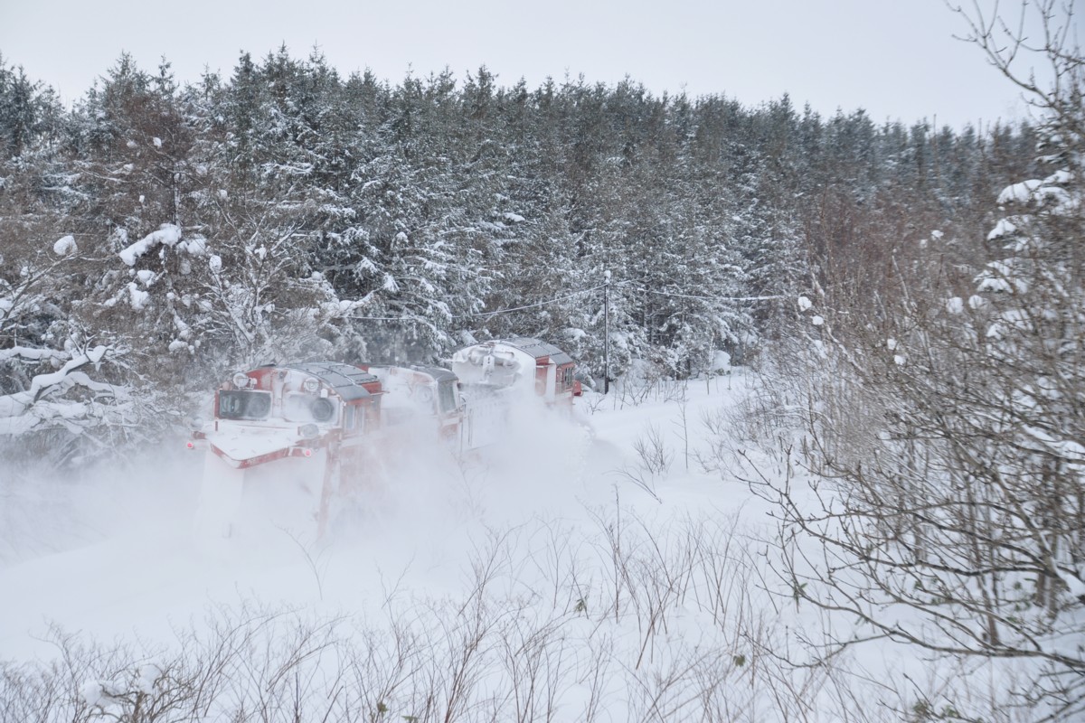 撮影・宗谷本線・下沼－豊富