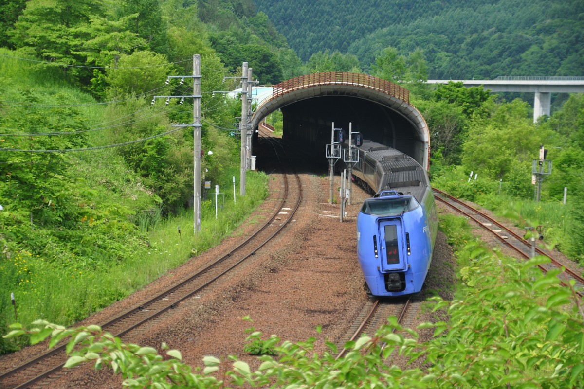 撮影・石勝線・楓(信)