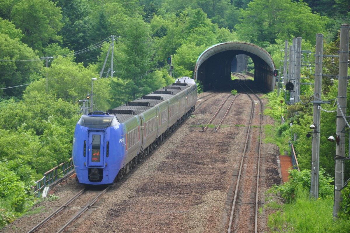 撮影・石勝線・楓(信)