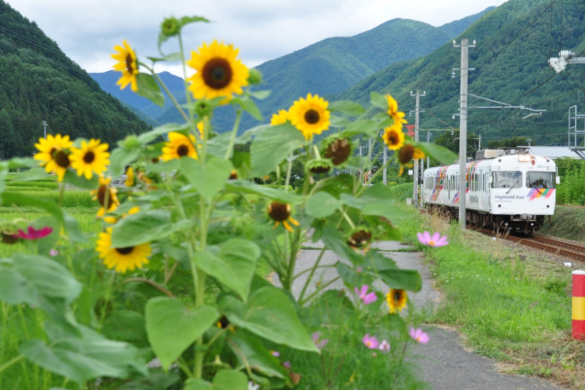 撮影・アルピコ交通上高地線・渕東