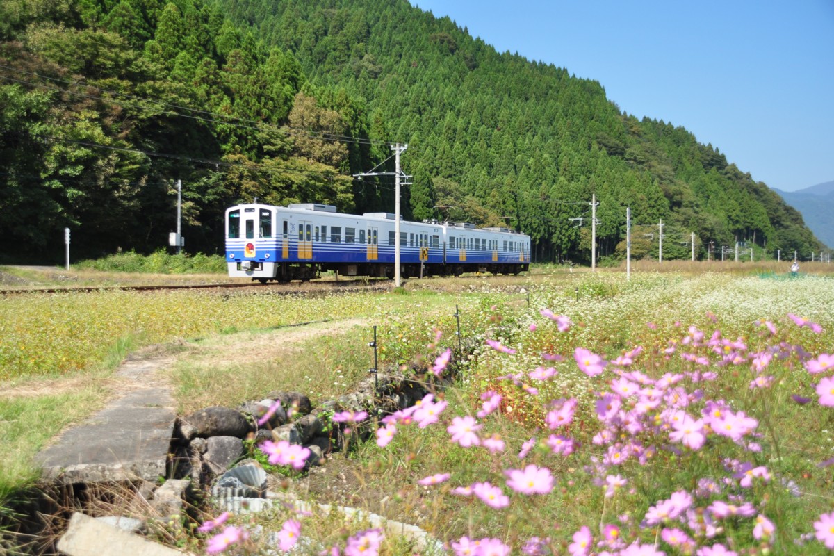 撮影・えちぜん鉄道勝山永平寺線・比島－勝山
