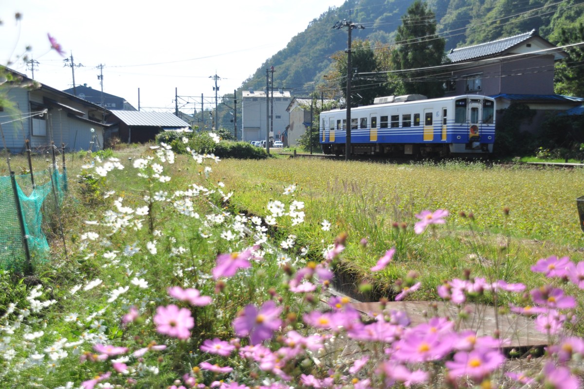 撮影・えちぜん鉄道勝山永平寺線・比島－勝山