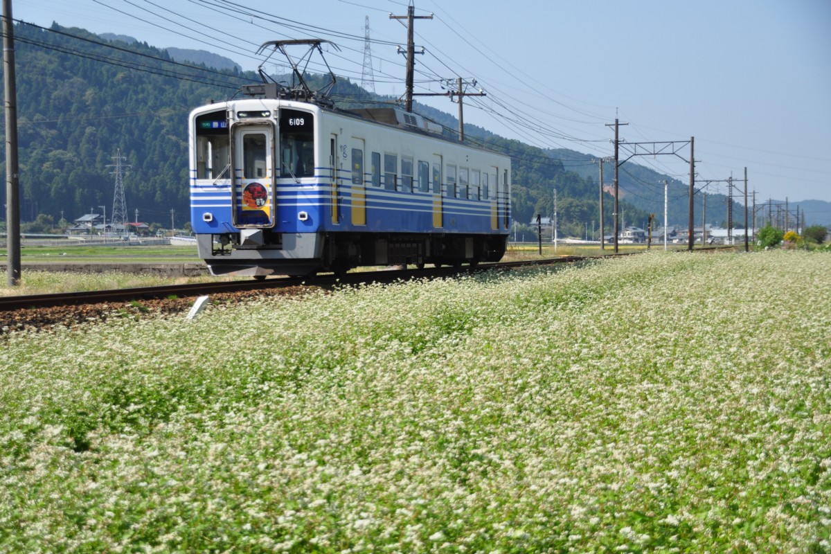 撮影・えちぜん鉄道勝山永平寺線・越前野中－山王