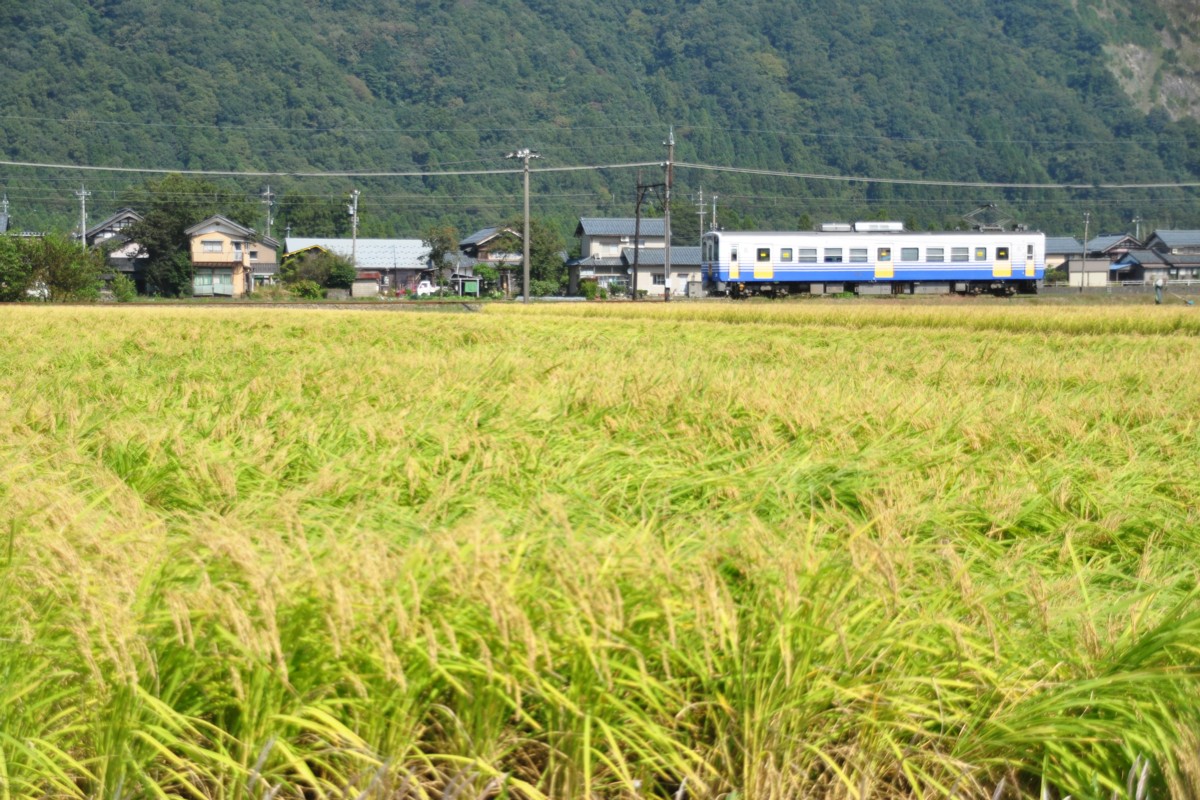 撮影・えちぜん鉄道勝山永平寺線・越前野中－山王