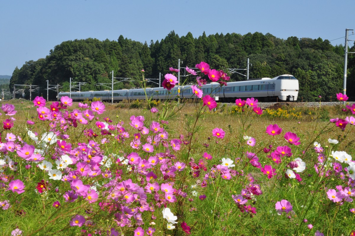 撮影・北陸本線・芦原温泉－細呂木
