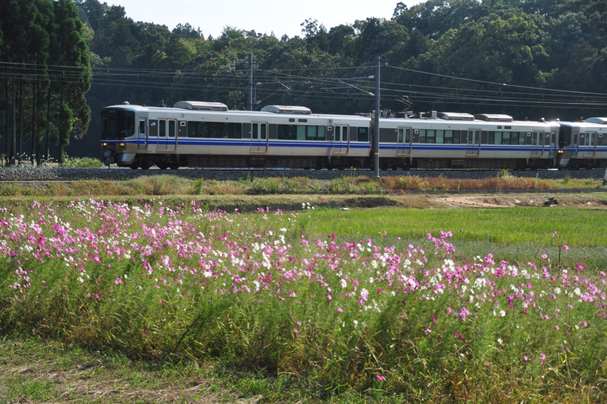 撮影・北陸本線・芦原温泉－細呂木