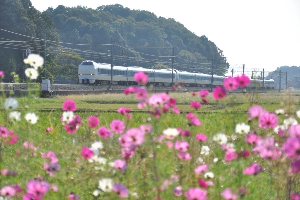 撮影・北陸本線・芦原温泉－細呂木