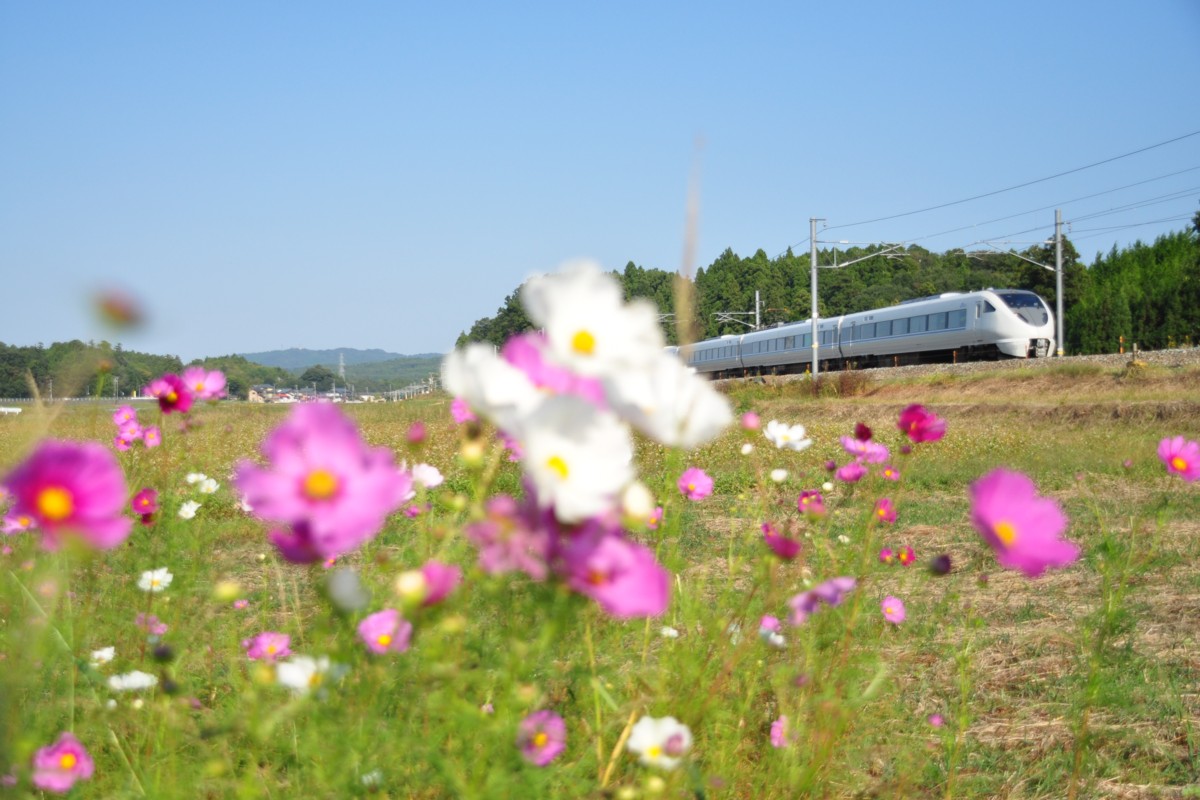 撮影・北陸本線・芦原温泉－細呂木