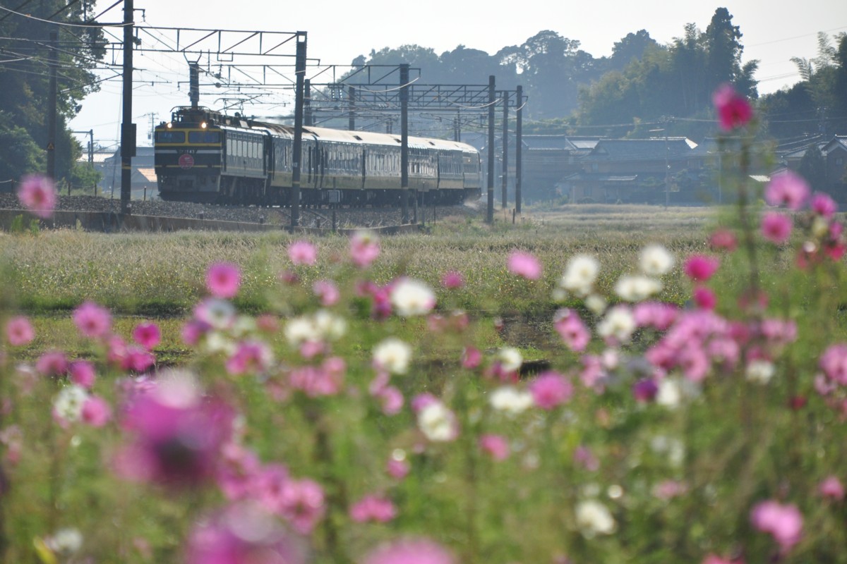 撮影・北陸本線・芦原温泉－細呂木