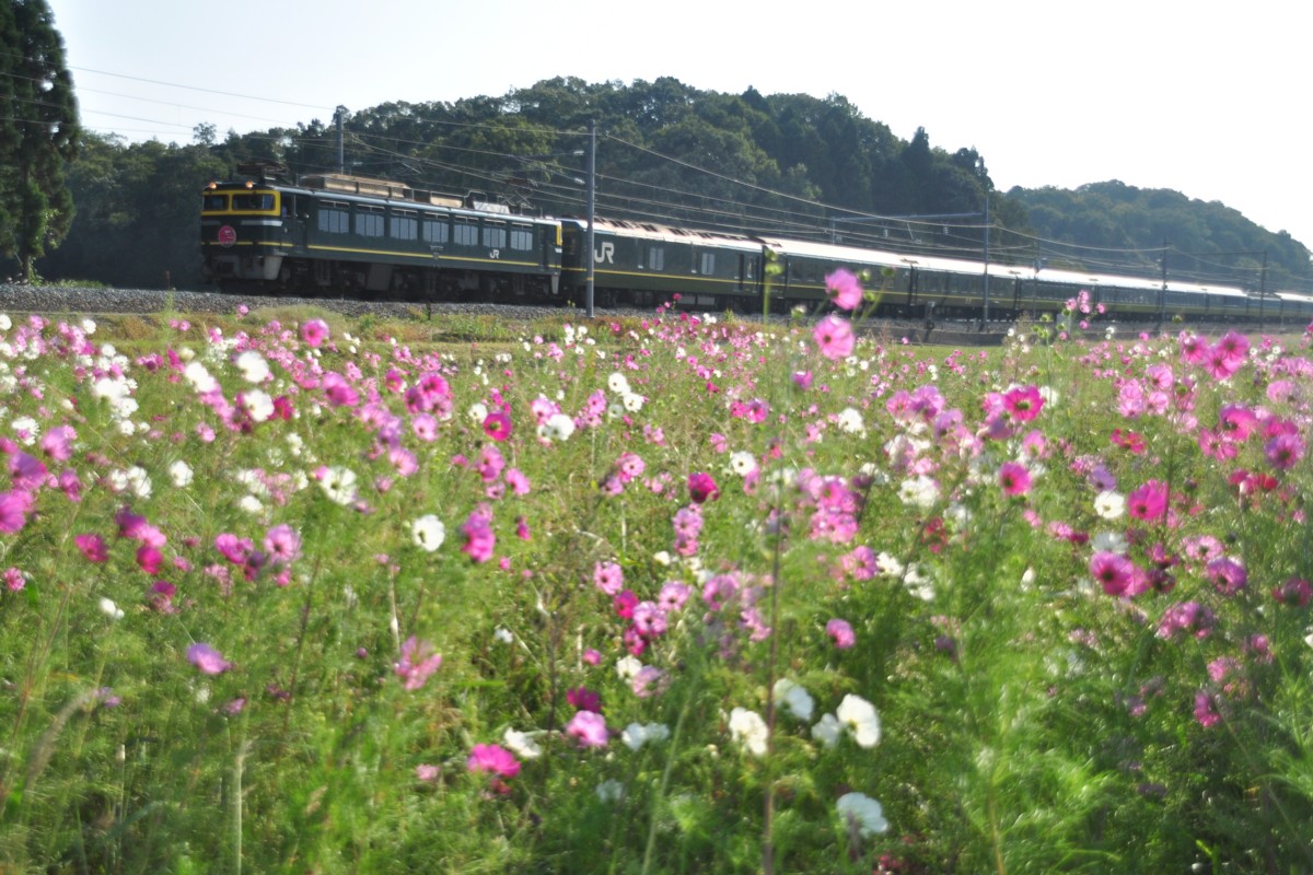 撮影・北陸本線・芦原温泉－細呂木