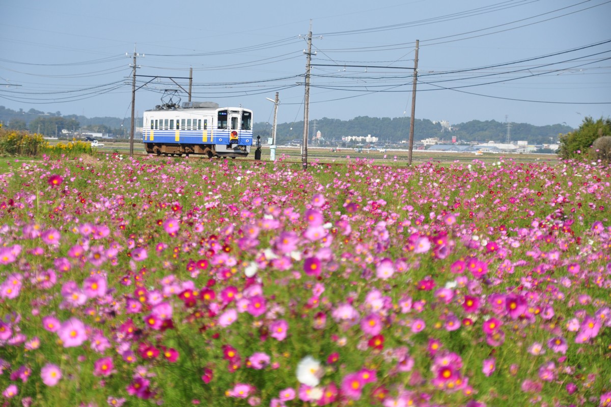 撮影・えちぜん鉄道三国芦原線・大関