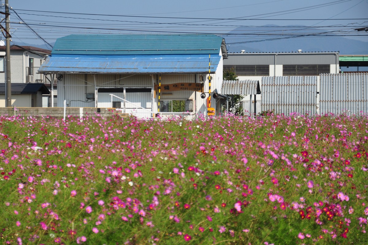 撮影・えちぜん鉄道三国芦原線・大関