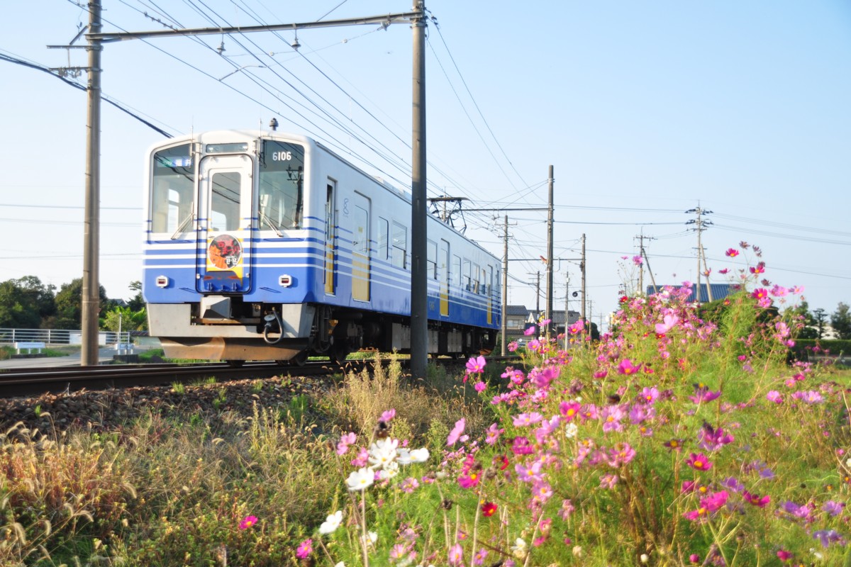 撮影・えちぜん鉄道三国芦原線・鷲塚針原
