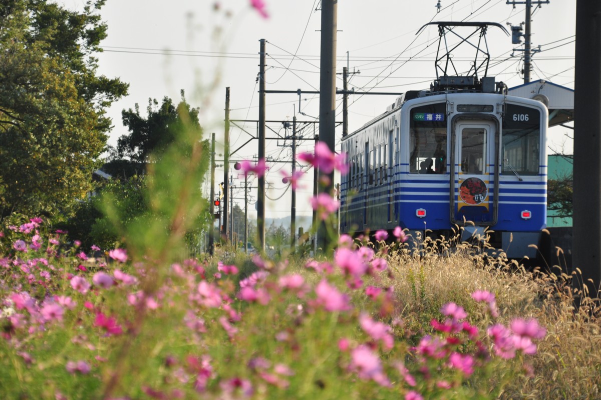 撮影・えちぜん鉄道三国芦原線・鷲塚針原