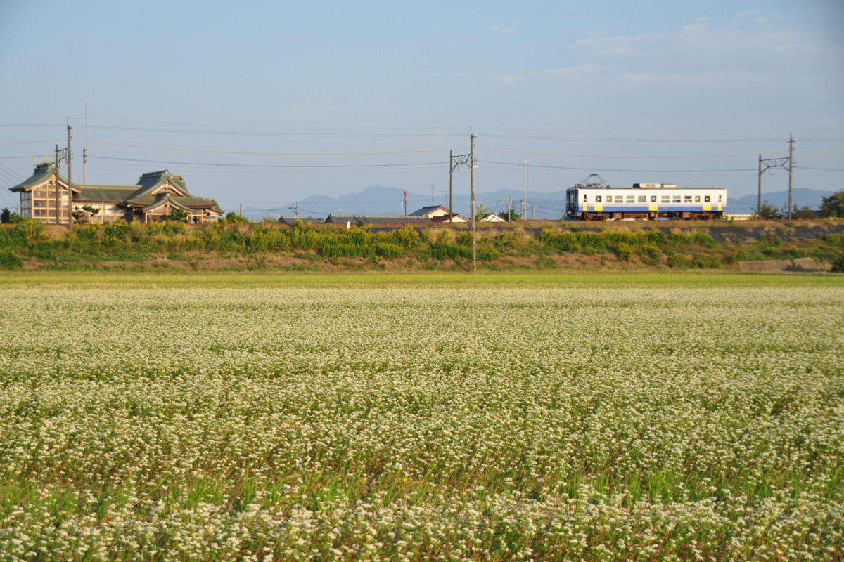 撮影・えちぜん鉄道三国芦原線・中角