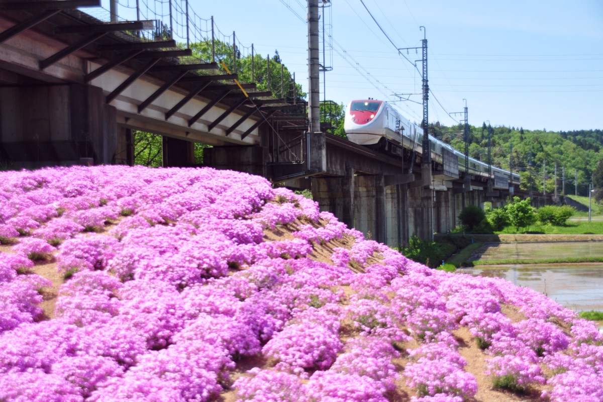 撮影・北越急行ほくほく線・大池いこいの森