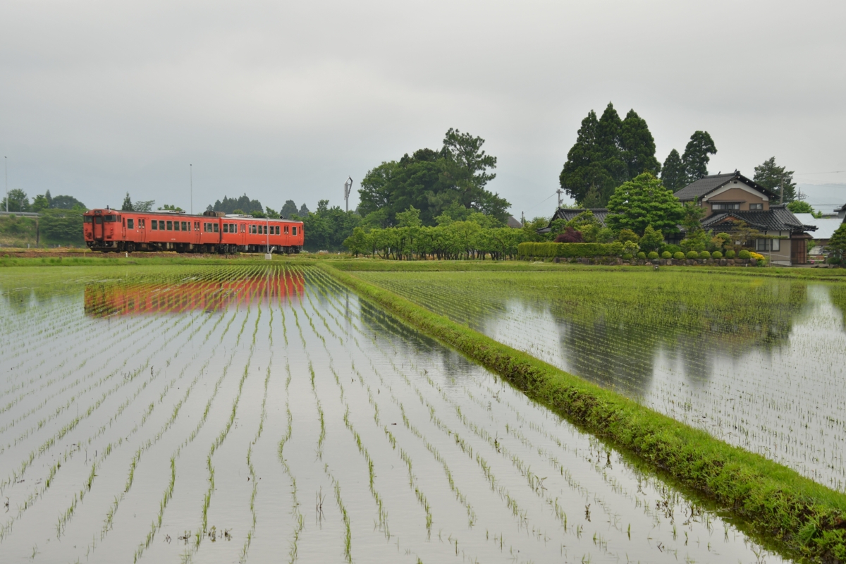 鉄道写真・田園風景・梅雨・撮影地：城端線・越中山田－城端