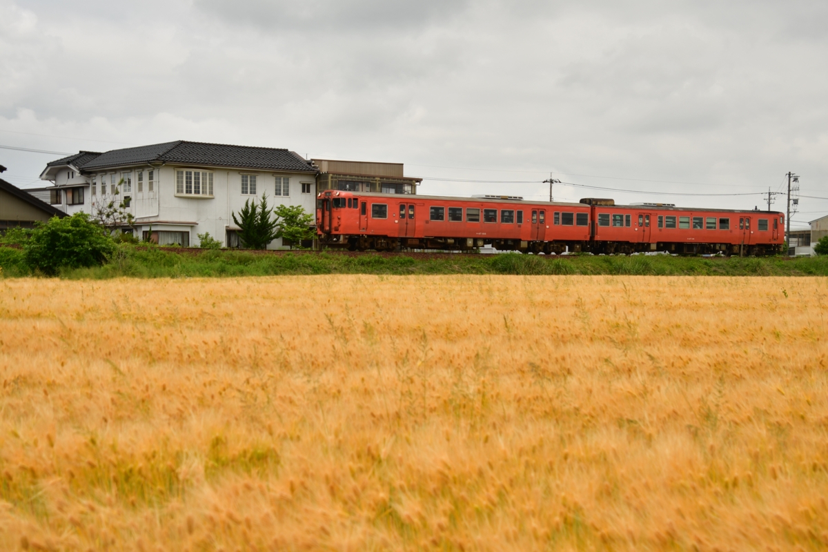 鉄道写真・田園風景・梅雨・撮影地：城端線・東石黒