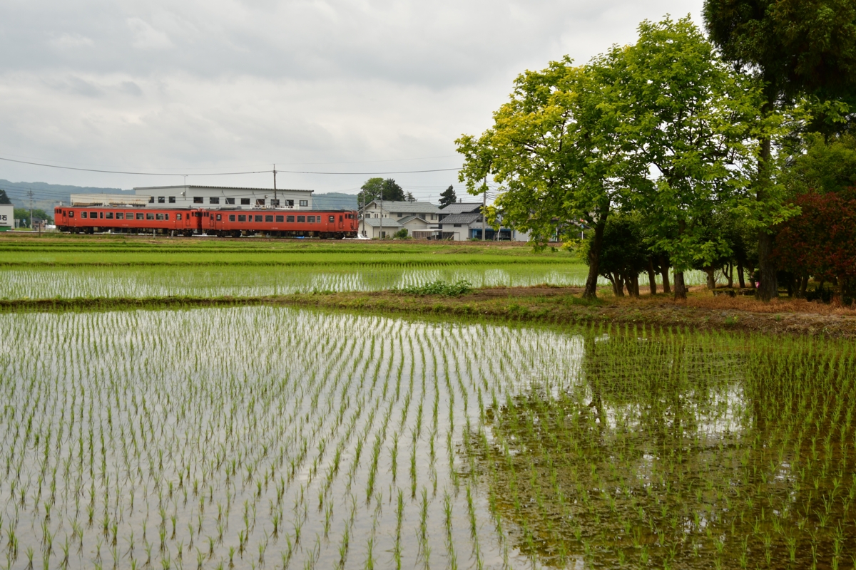 鉄道写真・田園風景・梅雨・撮影地：城端線・福野－東石黒