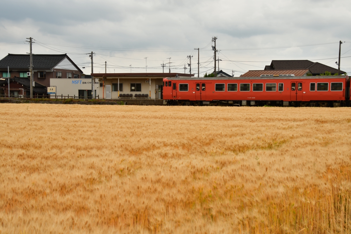 鉄道写真・田園風景・梅雨・撮影地：城端線・高儀