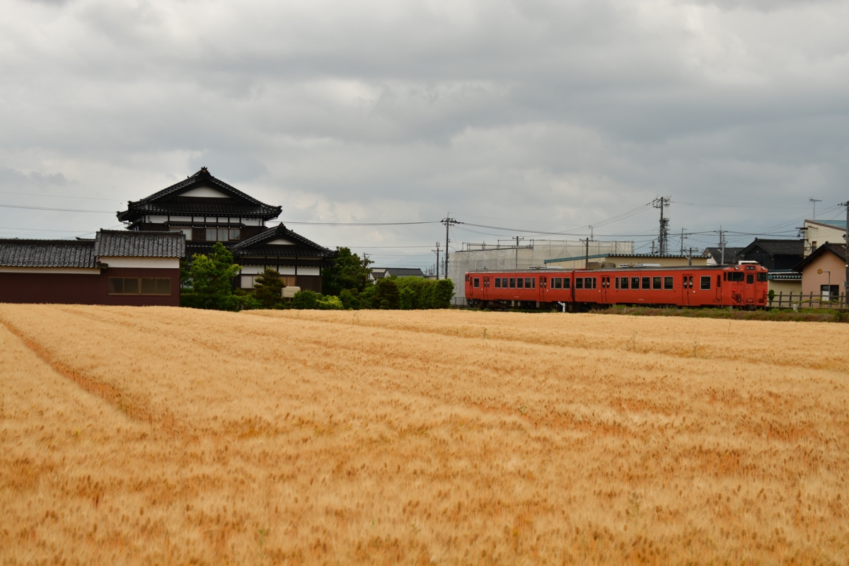 鉄道写真・田園風景・梅雨・撮影地：城端線・高儀