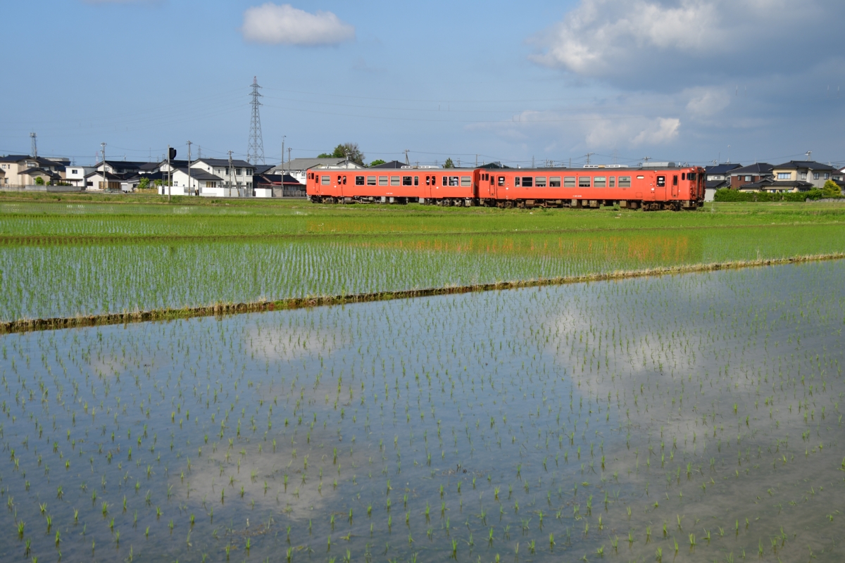 鉄道写真・田園風景・梅雨・撮影地：城端線・戸出－油田