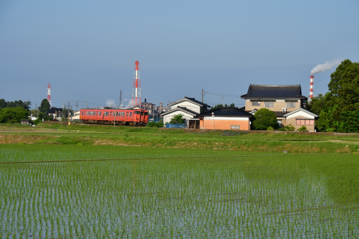 鉄道写真・田園風景・梅雨・撮影地：城端線・林－戸出