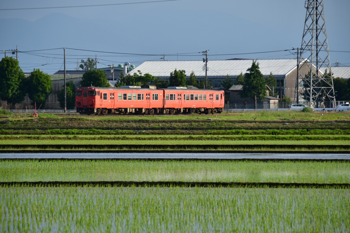 鉄道写真・田園風景・梅雨・撮影地：城端線・林－戸出