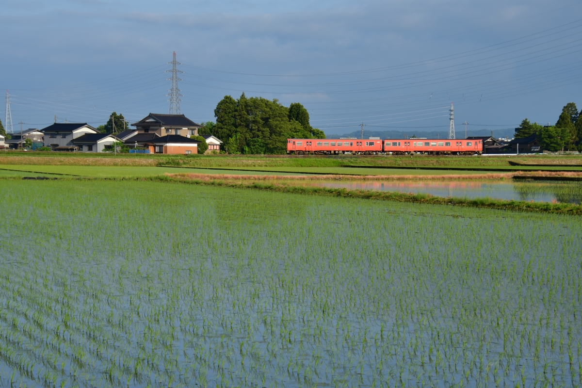 鉄道写真・田園風景・梅雨・撮影地：城端線・林－戸出