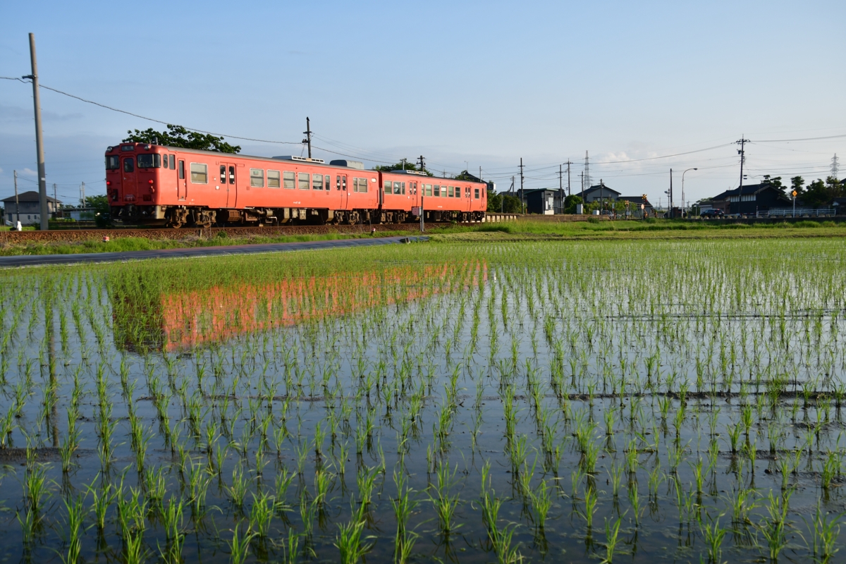 鉄道写真・田園風景・梅雨・撮影地：城端線・林