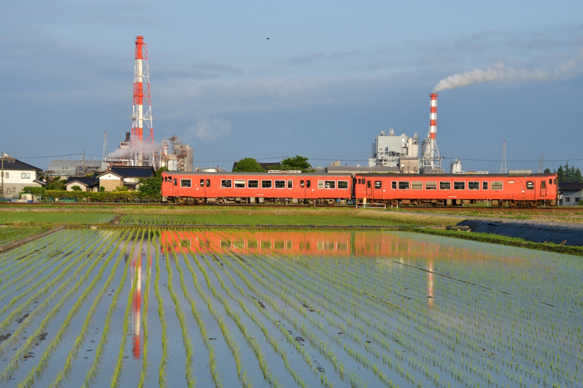 鉄道写真・田園風景・梅雨・撮影地：城端線・二塚－林