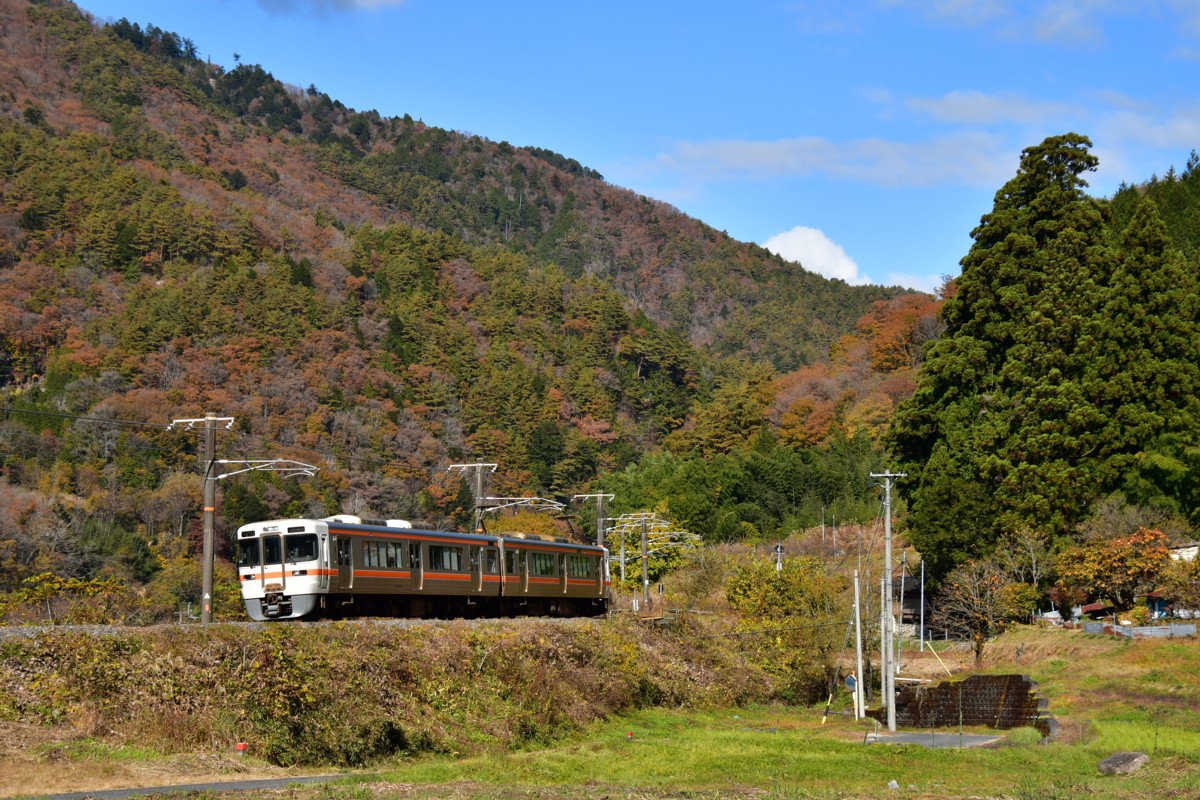 撮影・紅葉・中央西線・倉本－須原