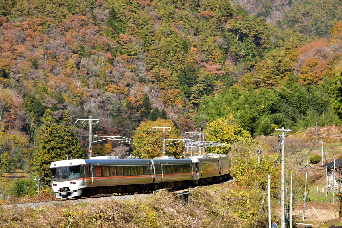 撮影・紅葉・中央西線・倉本－須原