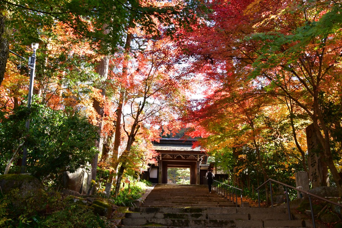 撮影・紅葉・定勝寺