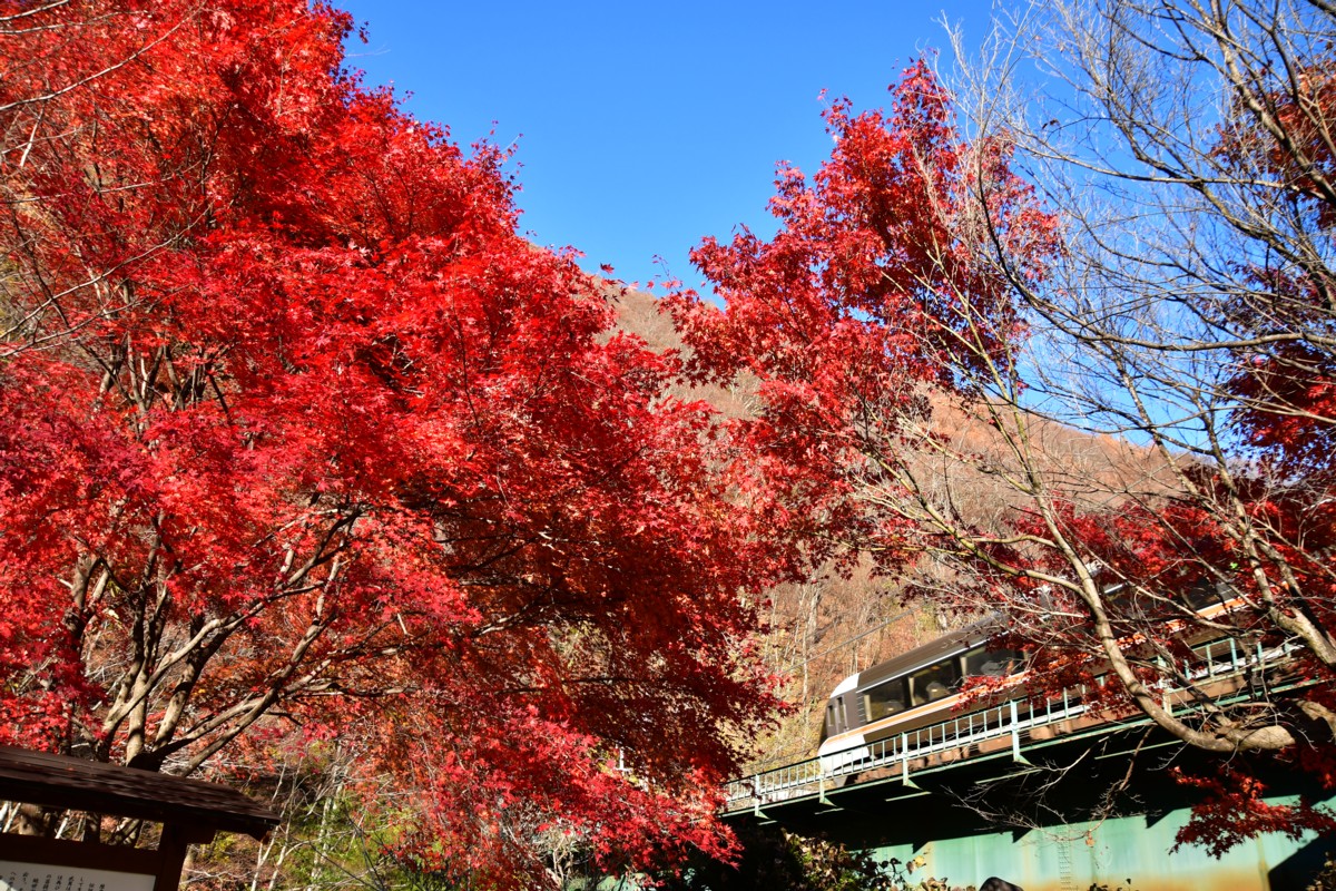 撮影・紅葉・中央西線・藪原－宮ノ越